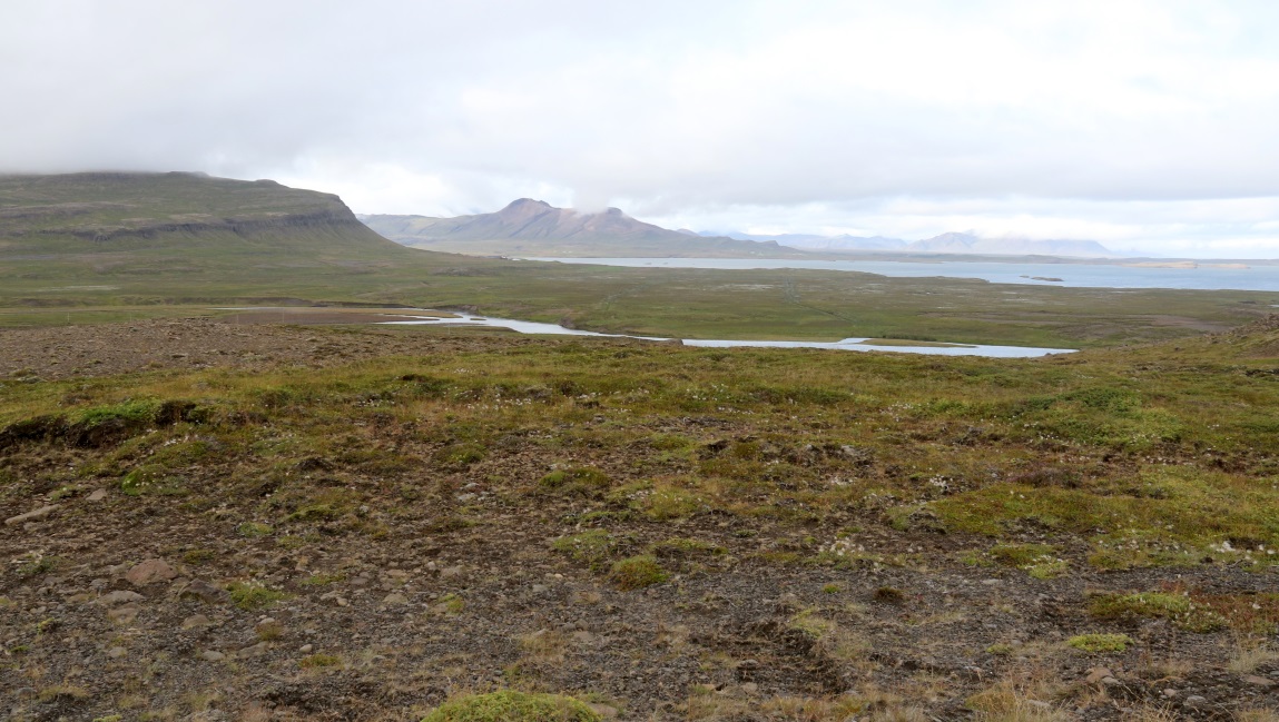 Wide view looking back East