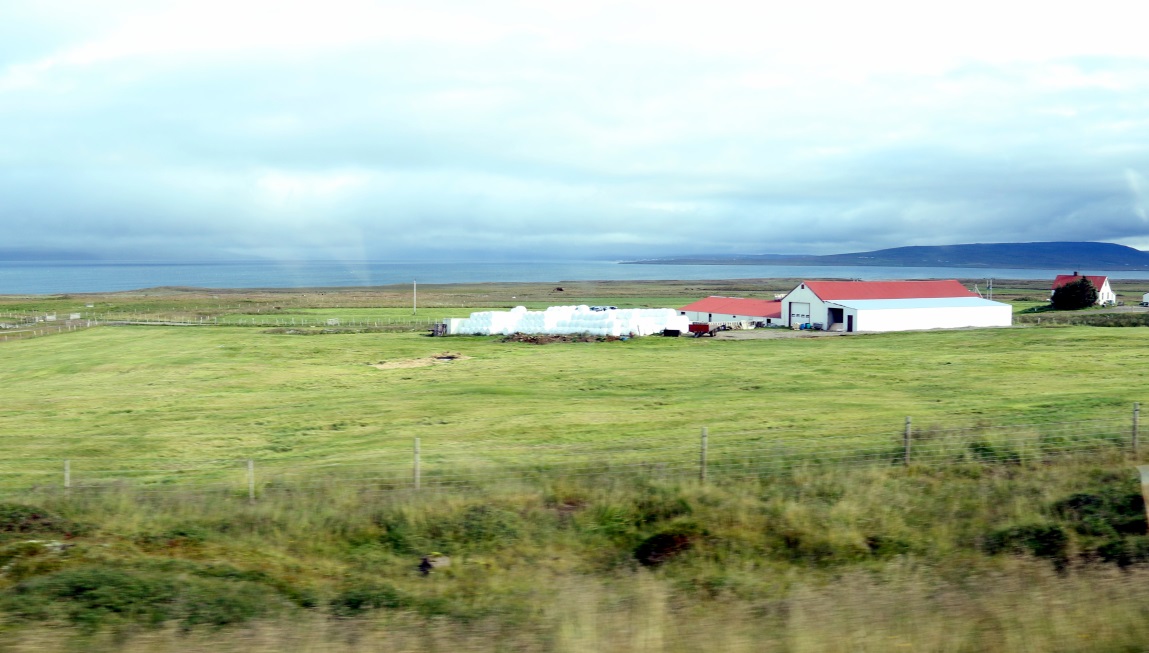 Dunkur farm