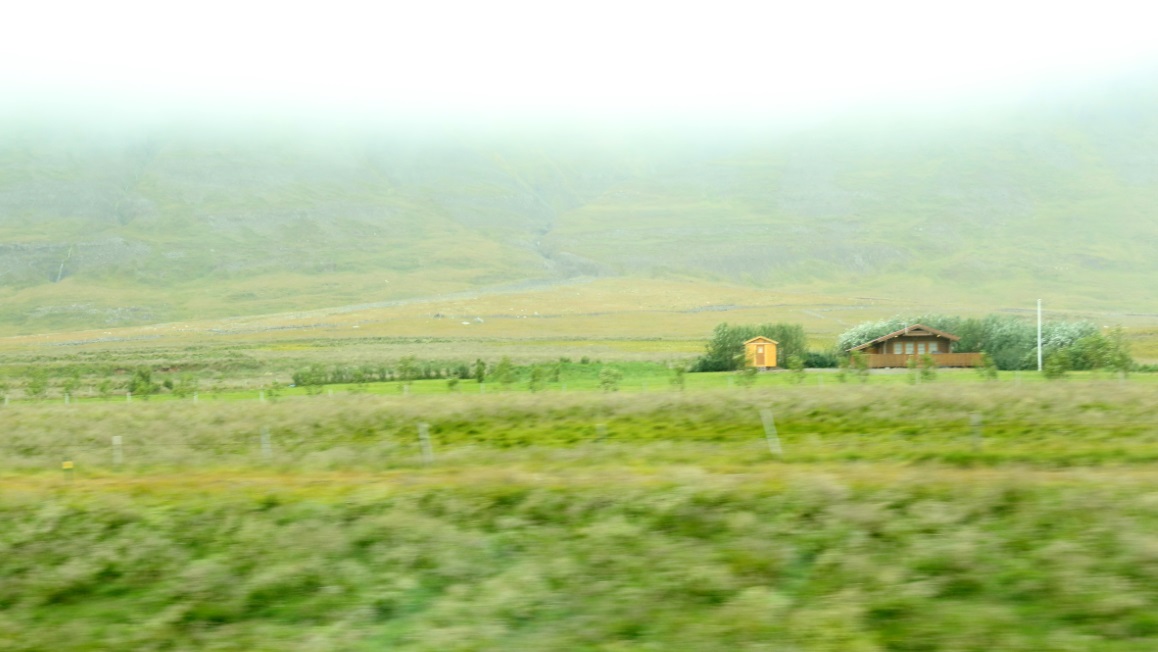 Note the small planted trees