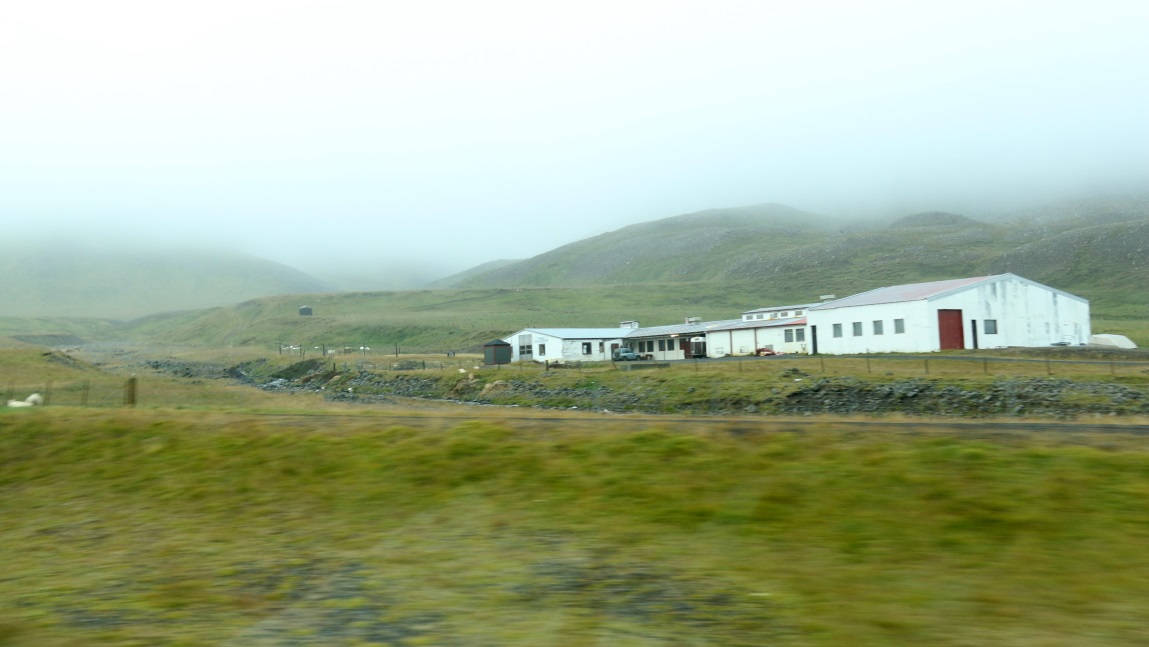 Another farm with abundant sheep