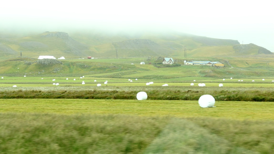 Ingunnarstair Hay farm
