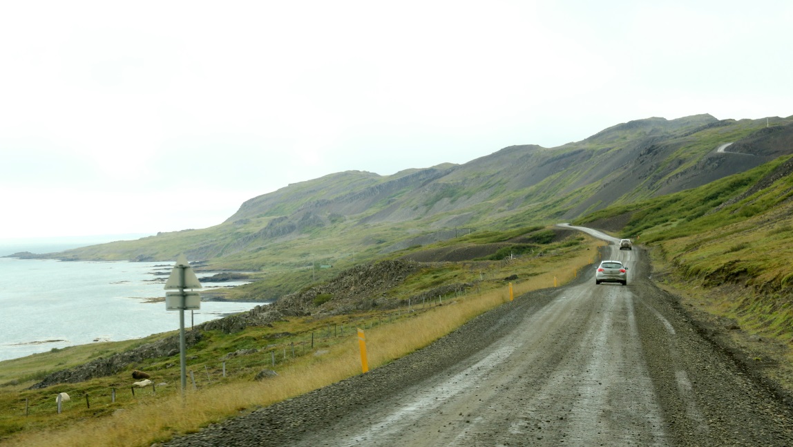 We only go part of the way up Dj�pifj�r�ur