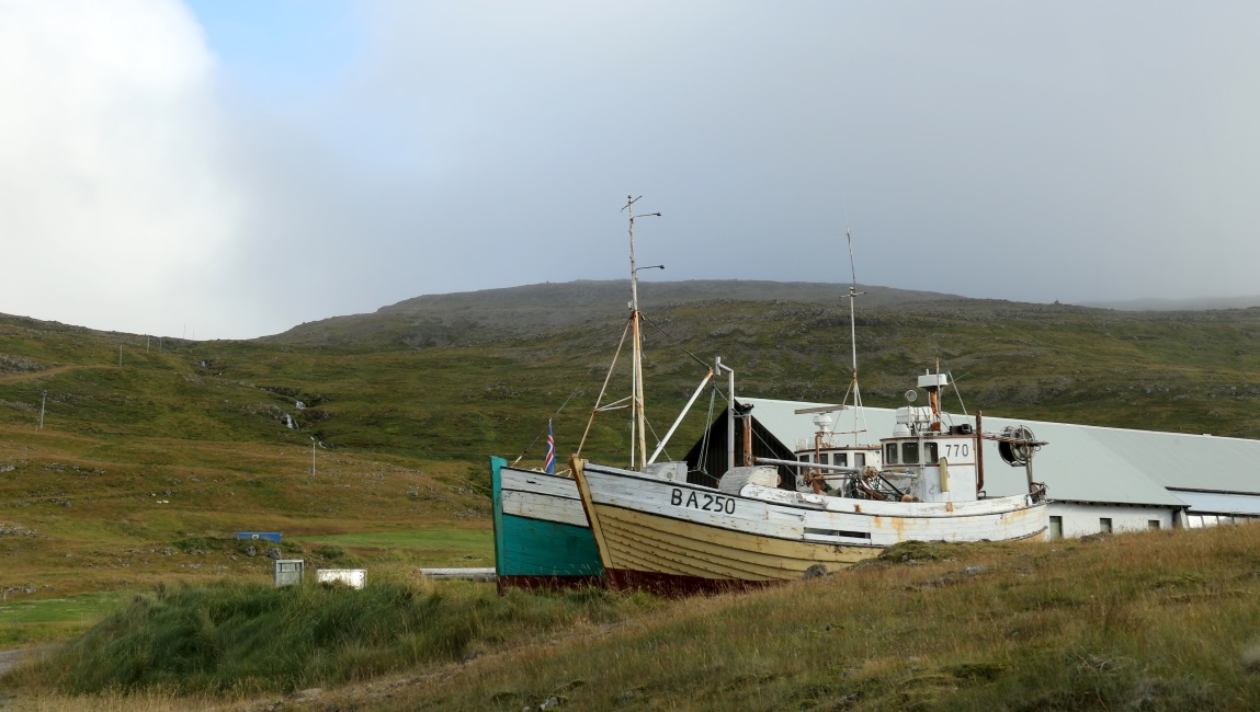 Boats