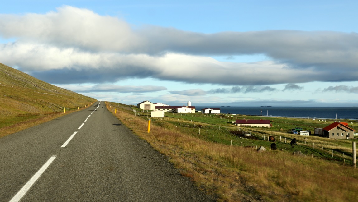 Brjanslaekur