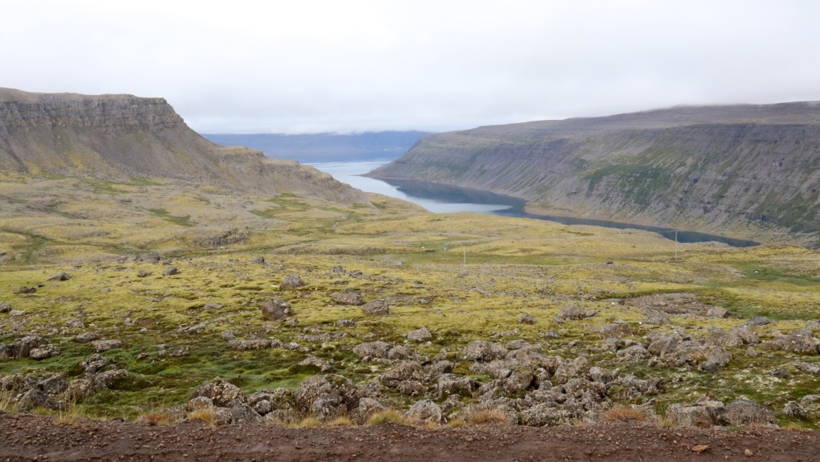 View from above of Arnarfjrur fjord