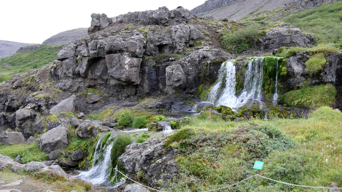 Section of falls