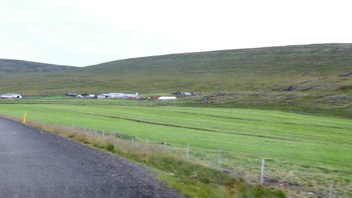 Hay farm