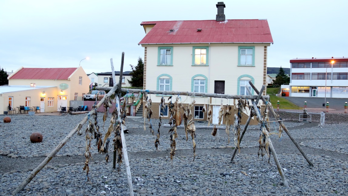 Fish drying