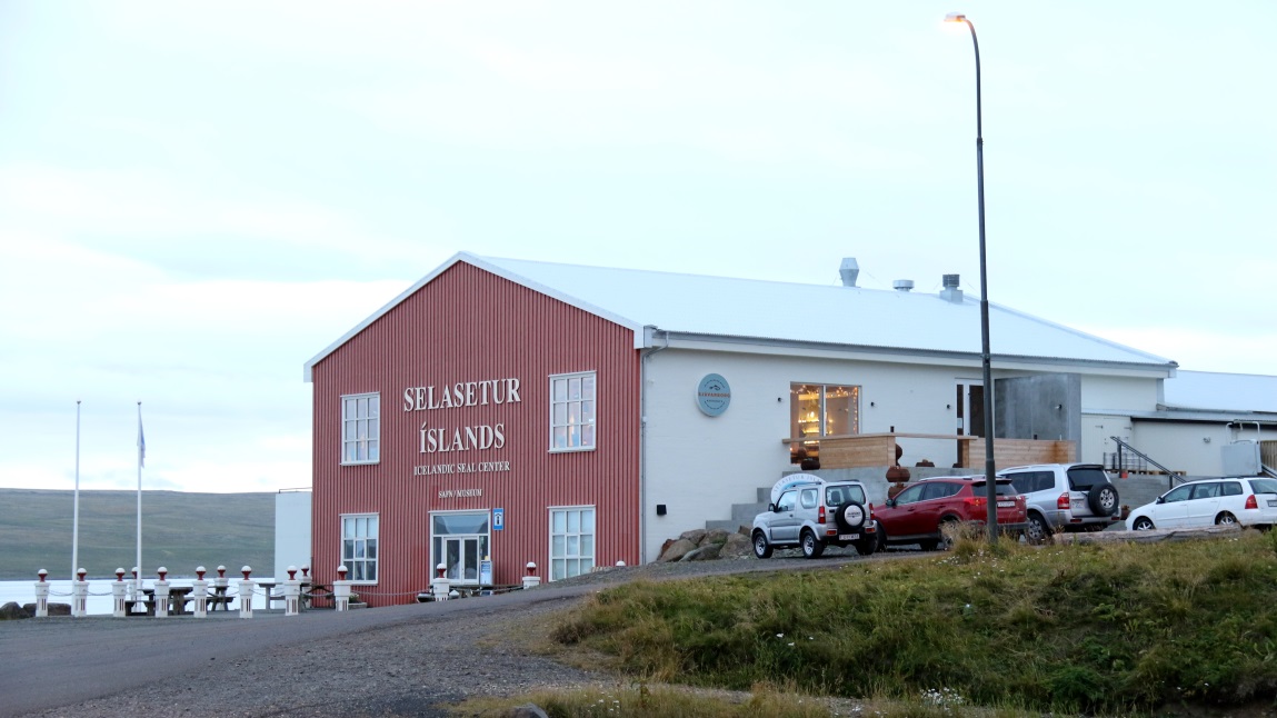 Icelandic Seal Center