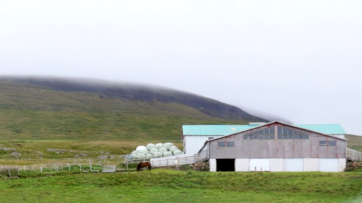 Large hay farm