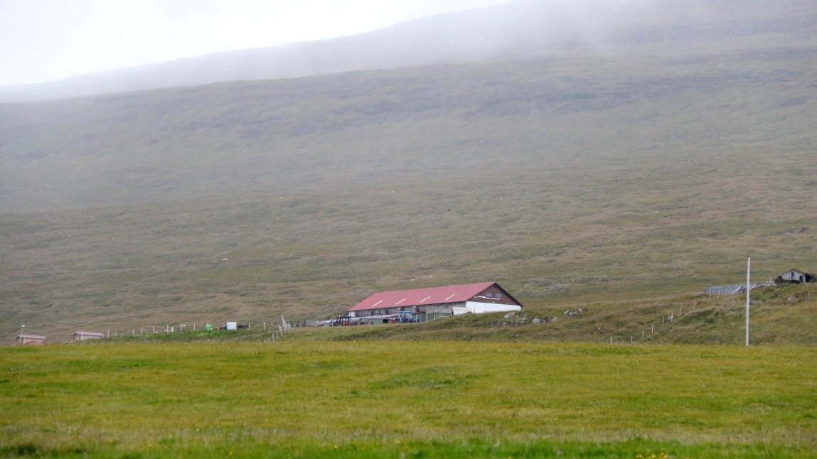 Farm in sar