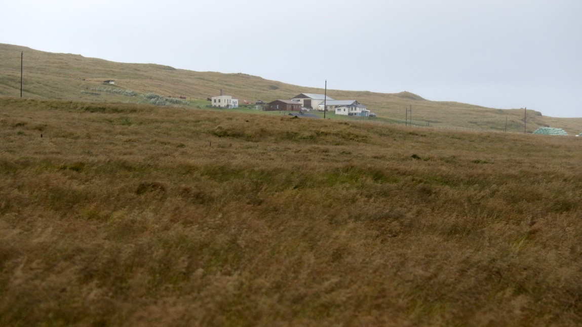 The town of sar