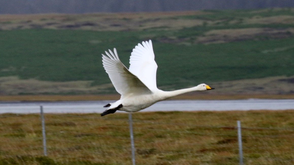 Taking off