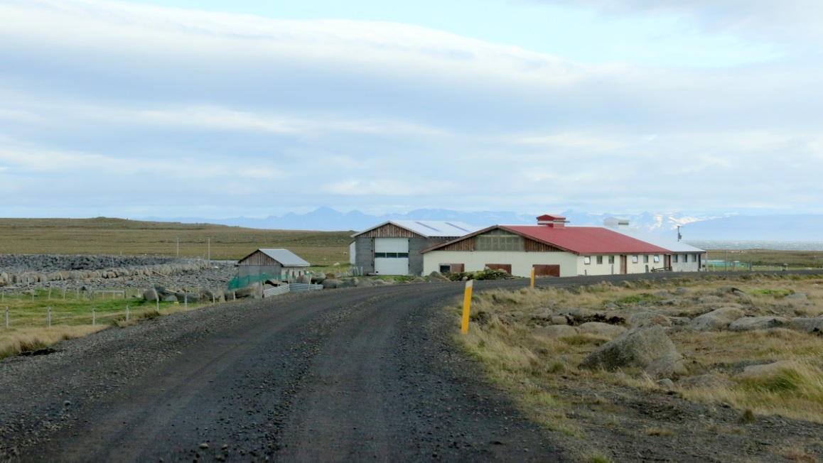 Farm in Hraun