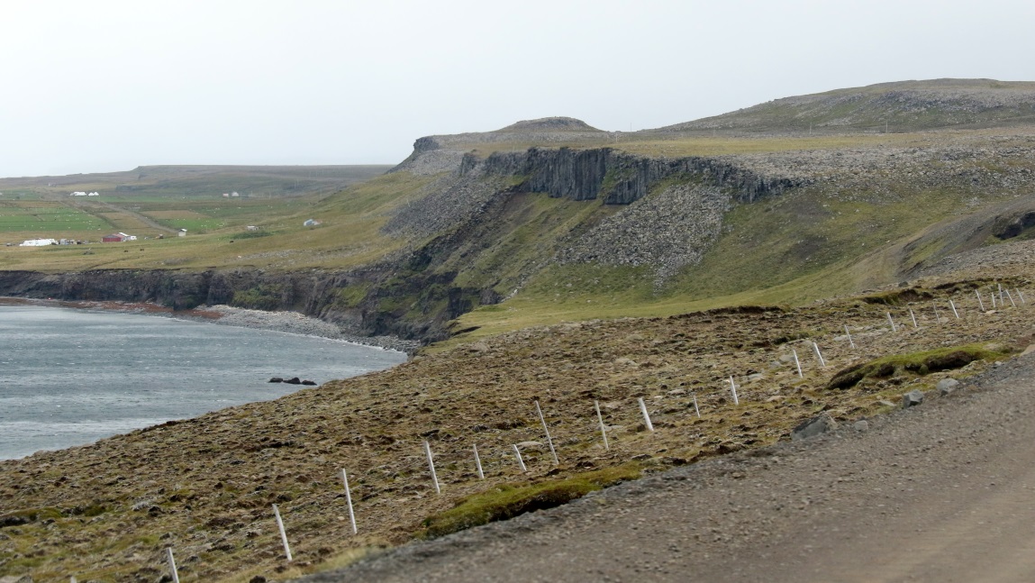 Top of the cliffs