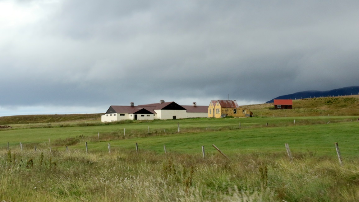 New and old farm buildings