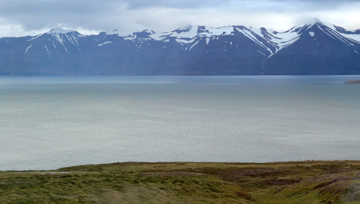 Looking across Eyjafjrur
