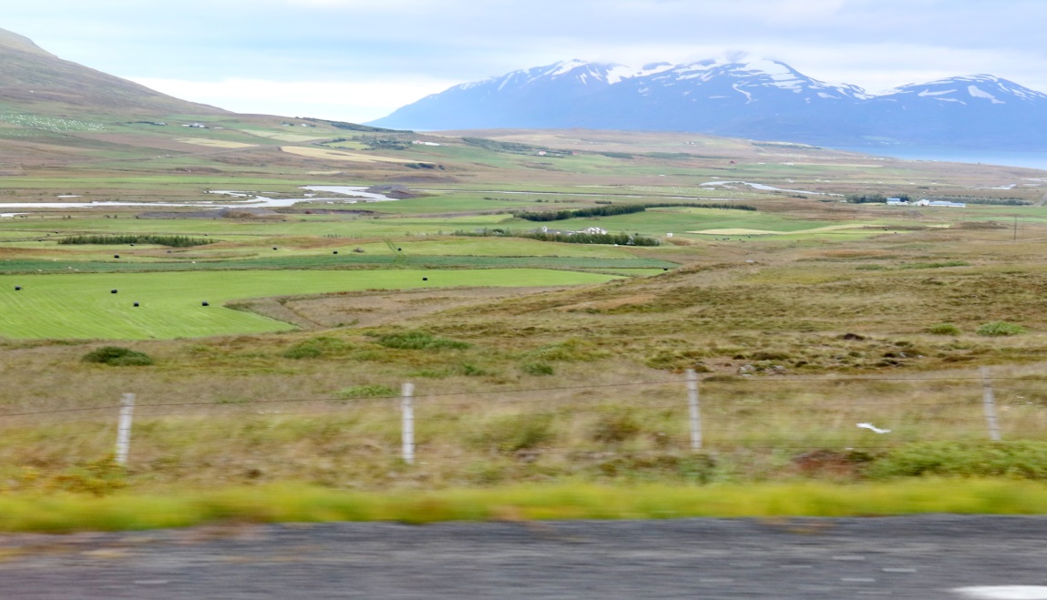 Ring Road