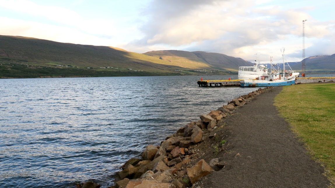 Ambassador whale watching