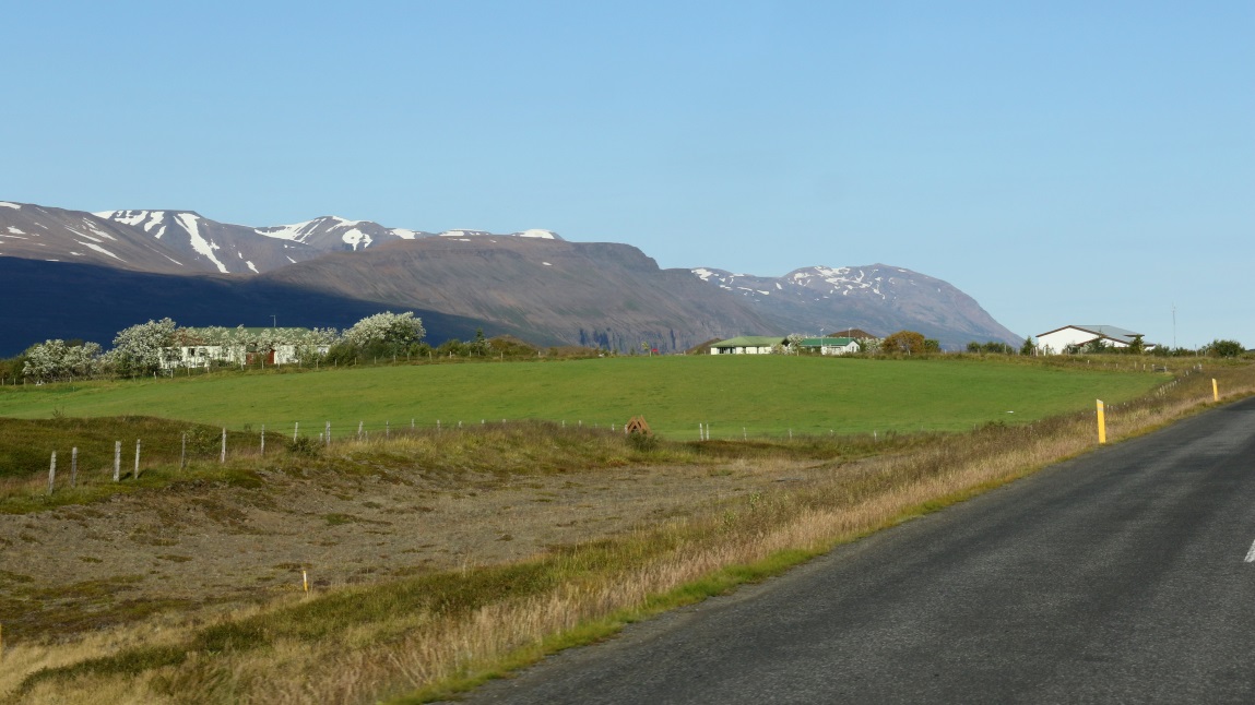Grass to mow