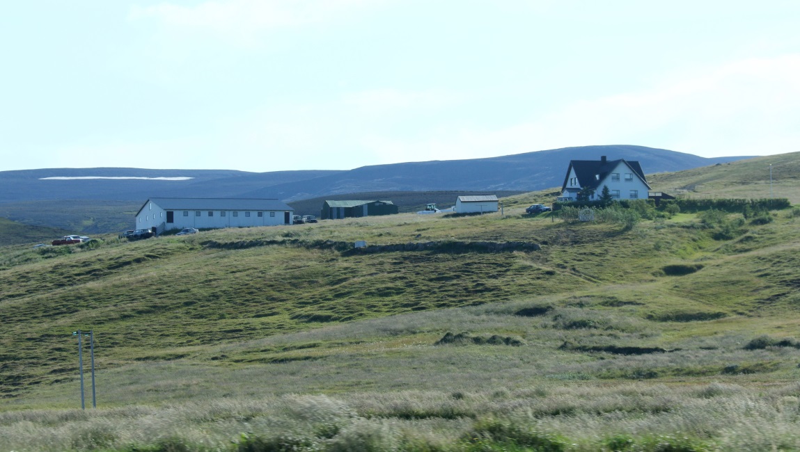 Large farm