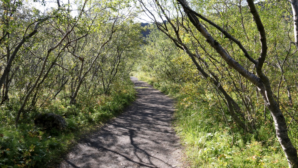 Walking trail