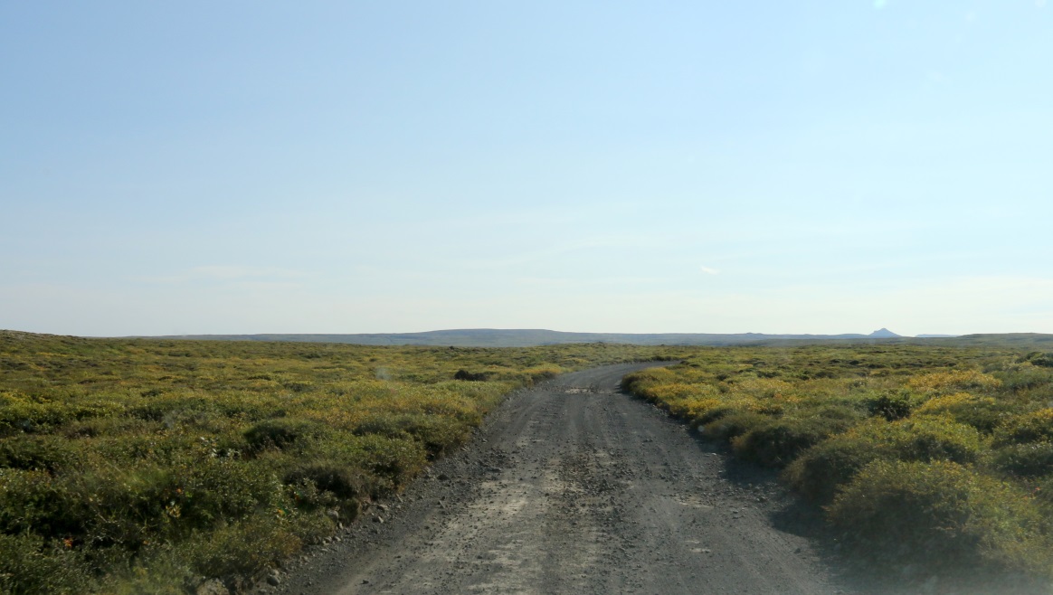Heading South