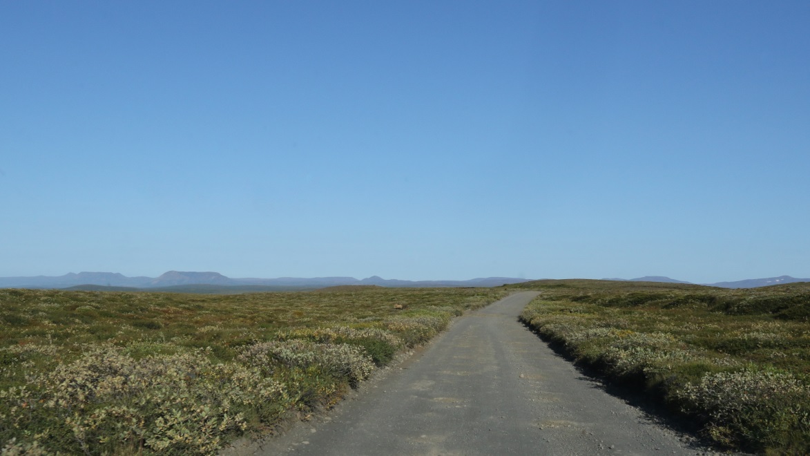 Bumpy Route 862