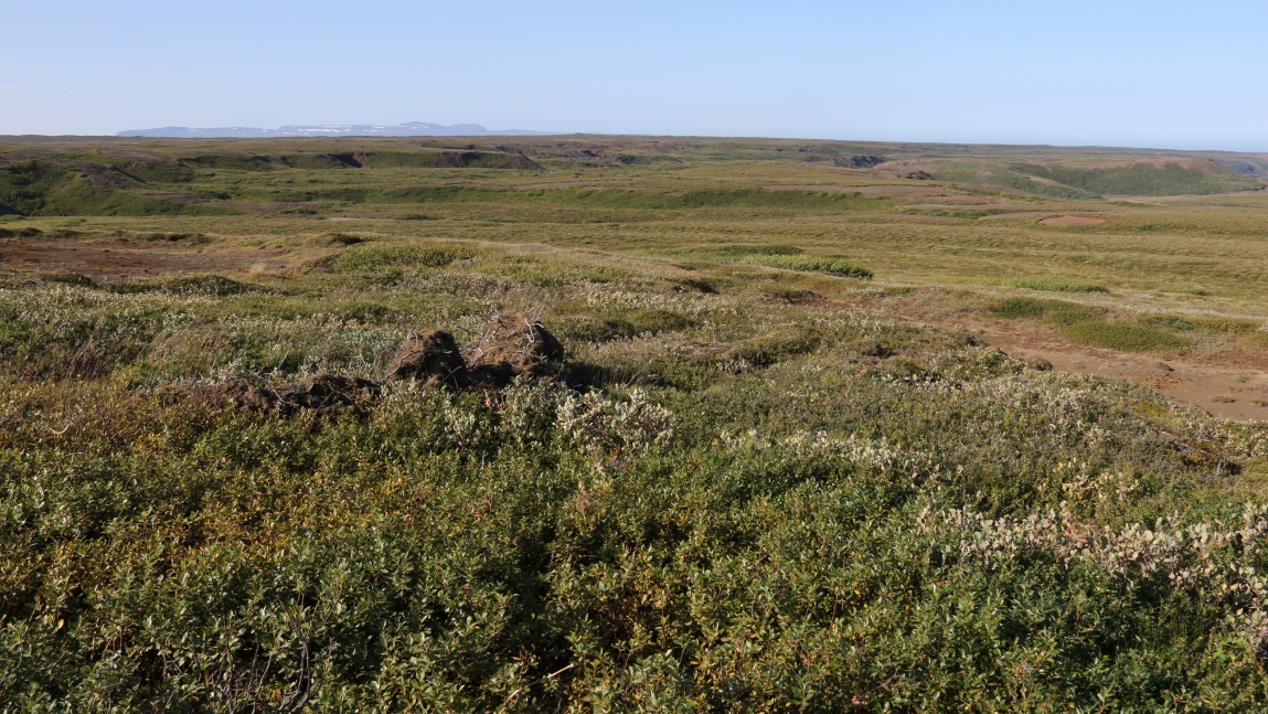 Landscape