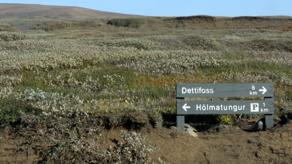 Dettifoss