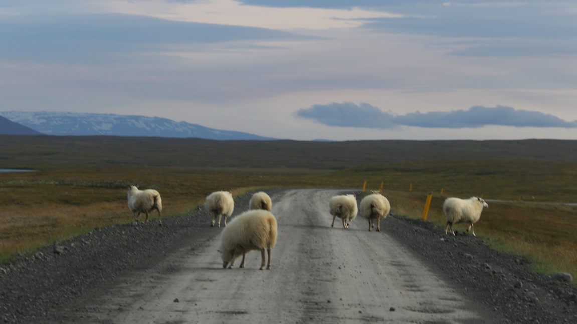 Traffic jam