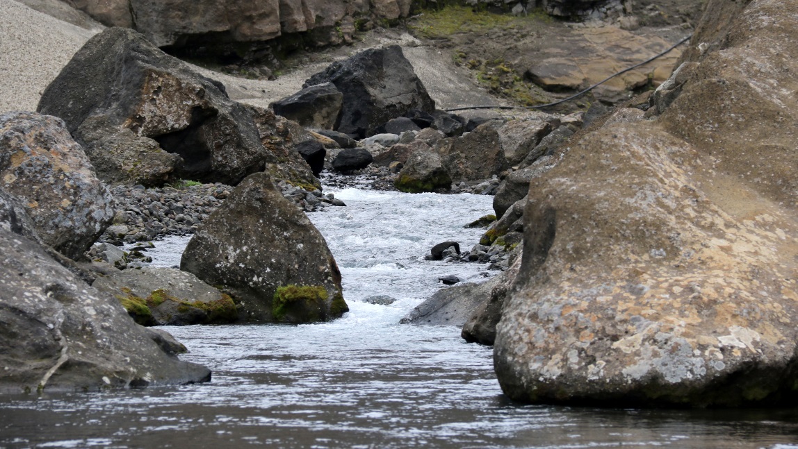 Filled with water