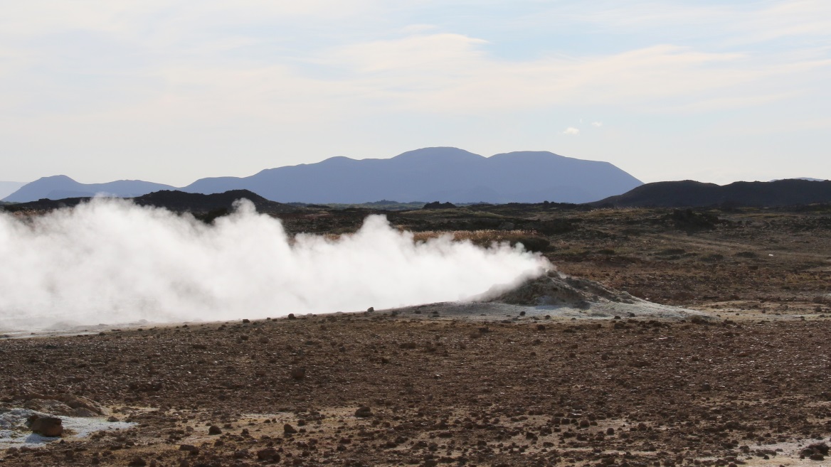 Steam vent