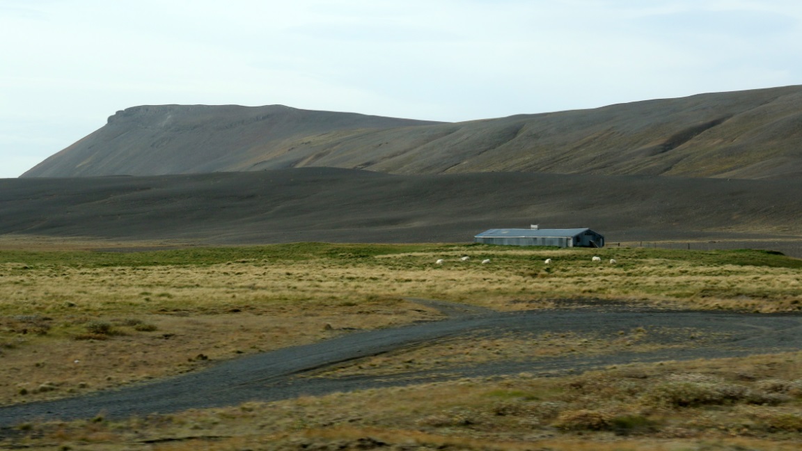 Sheep farm