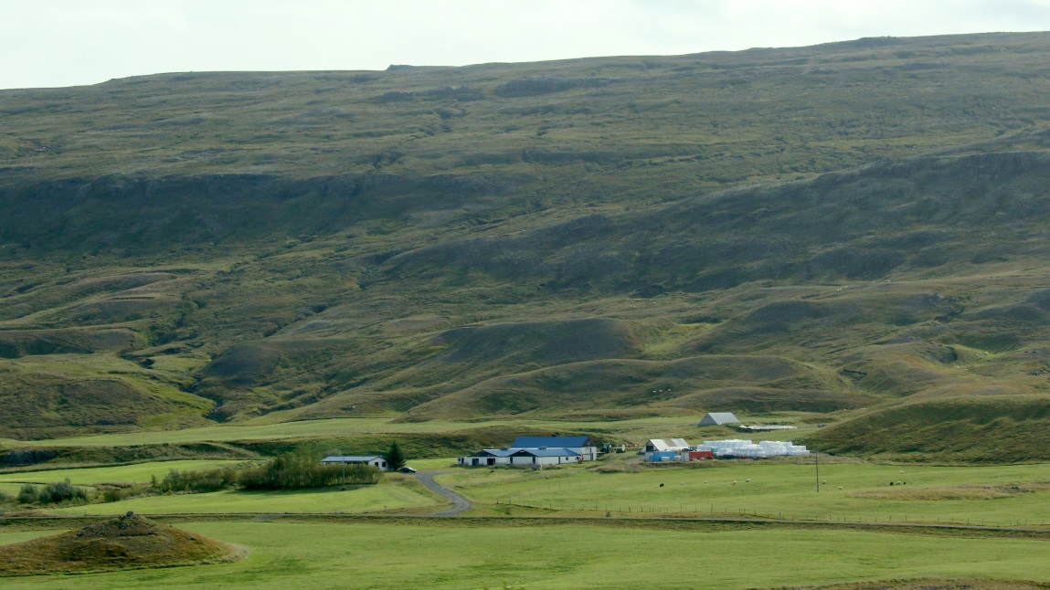 Large farm
