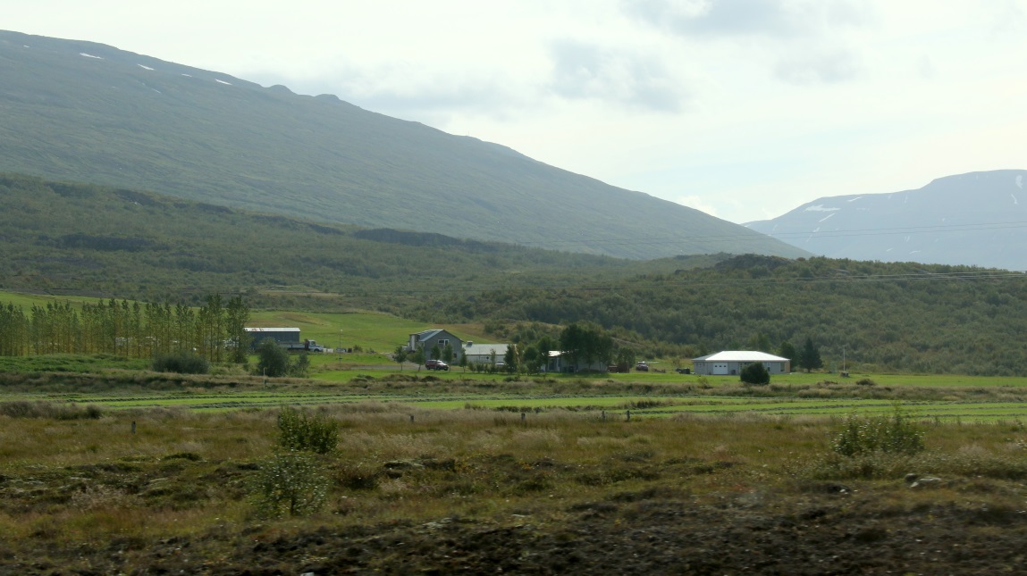 Farm