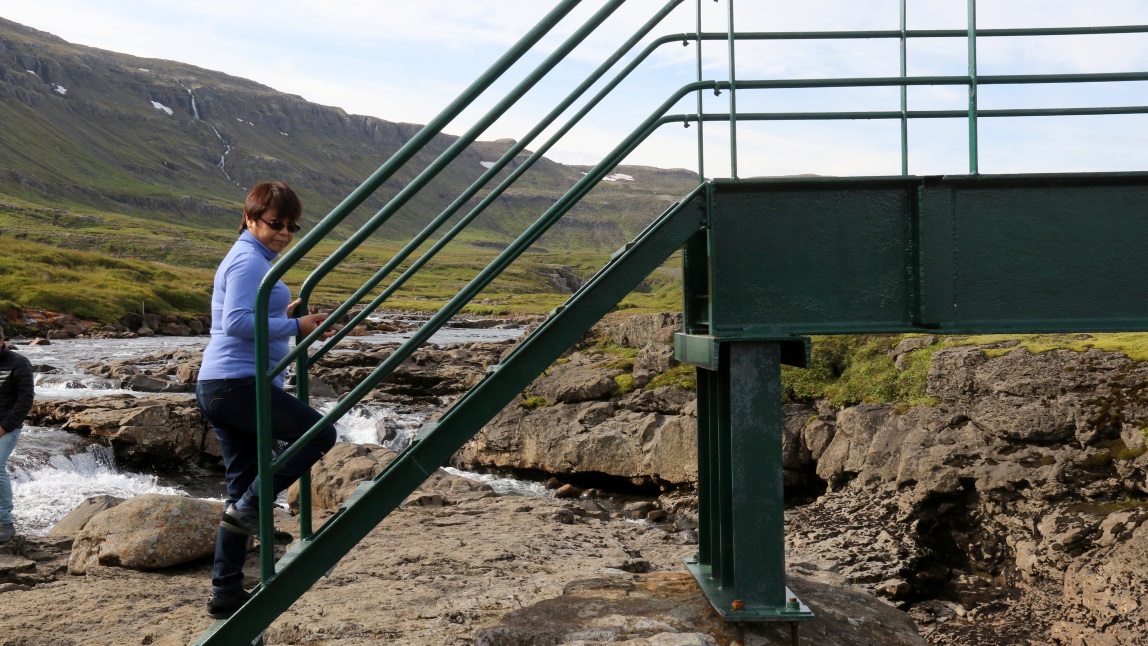Foot bridge