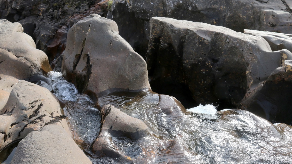Natural sculpture
