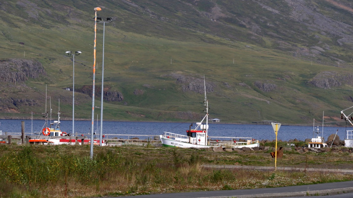 Part of the marina