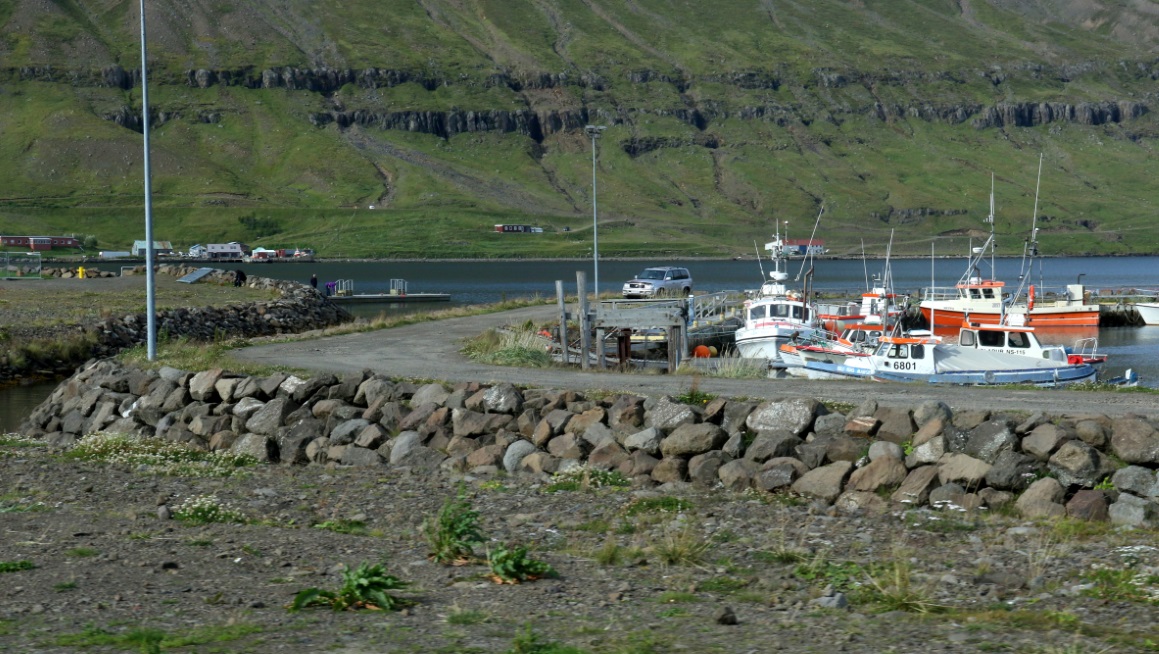 The marina