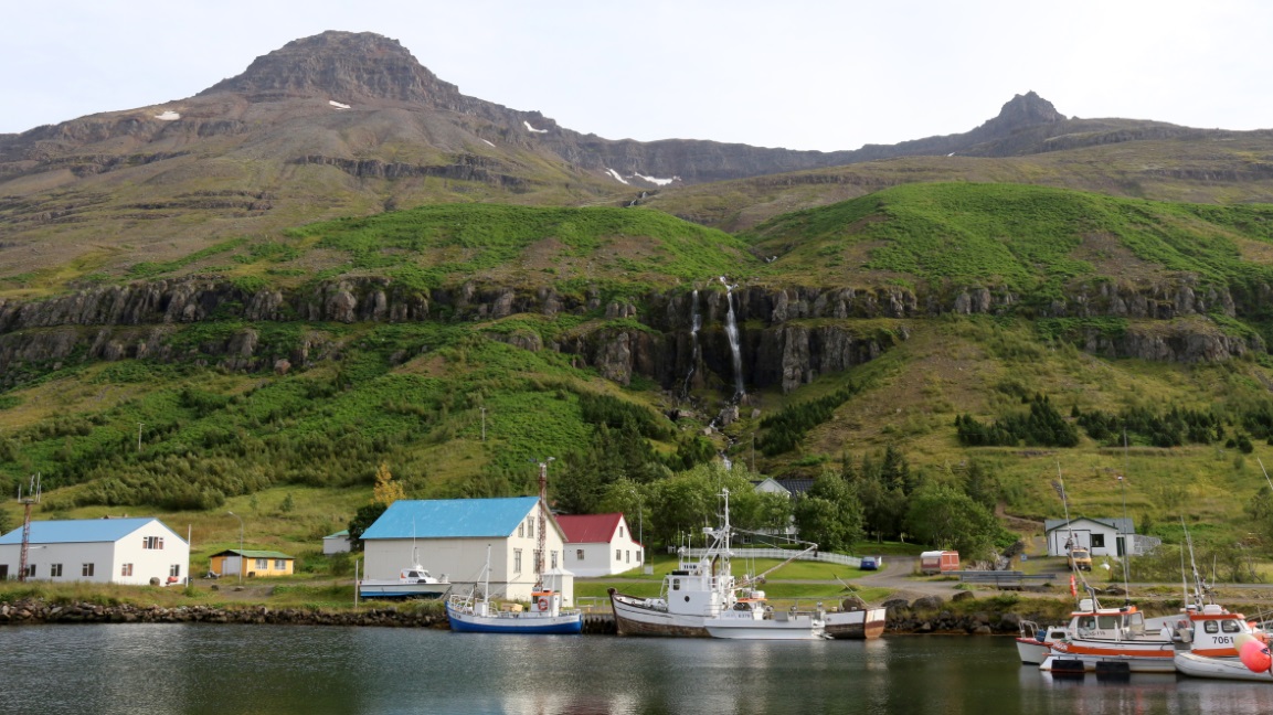 Part of the marina