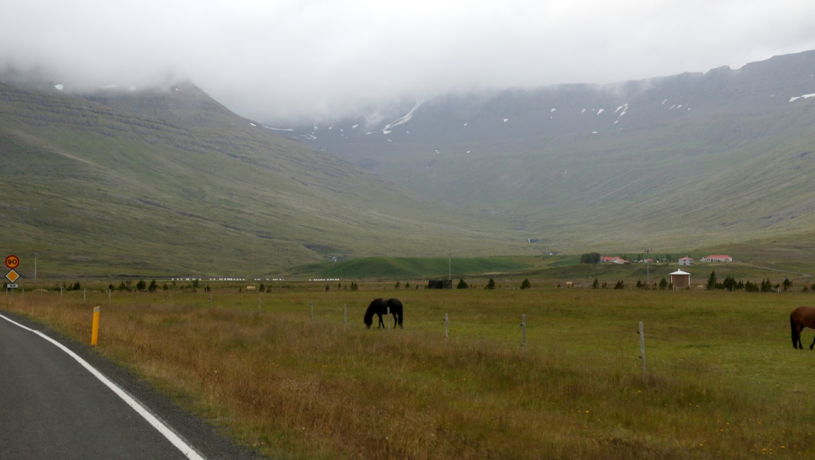 Horse farm
