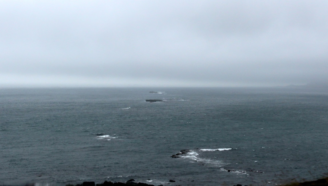 Norwegian Sea