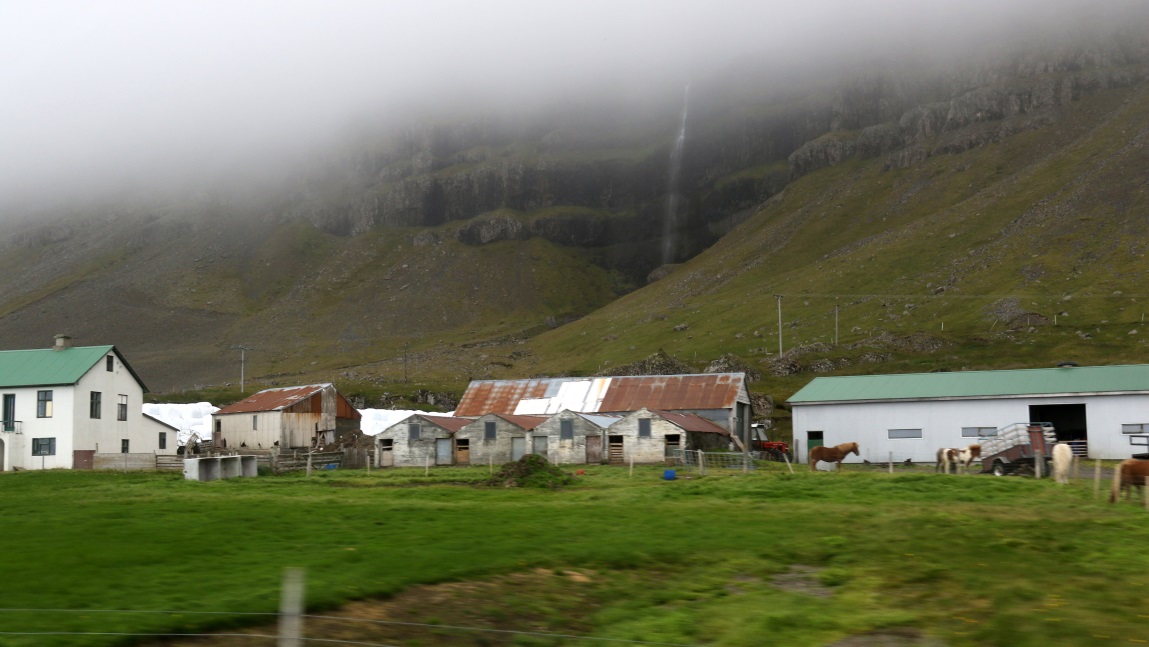 Farm with horses