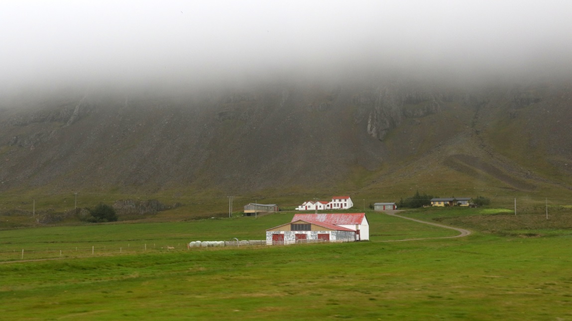 Nice green farm