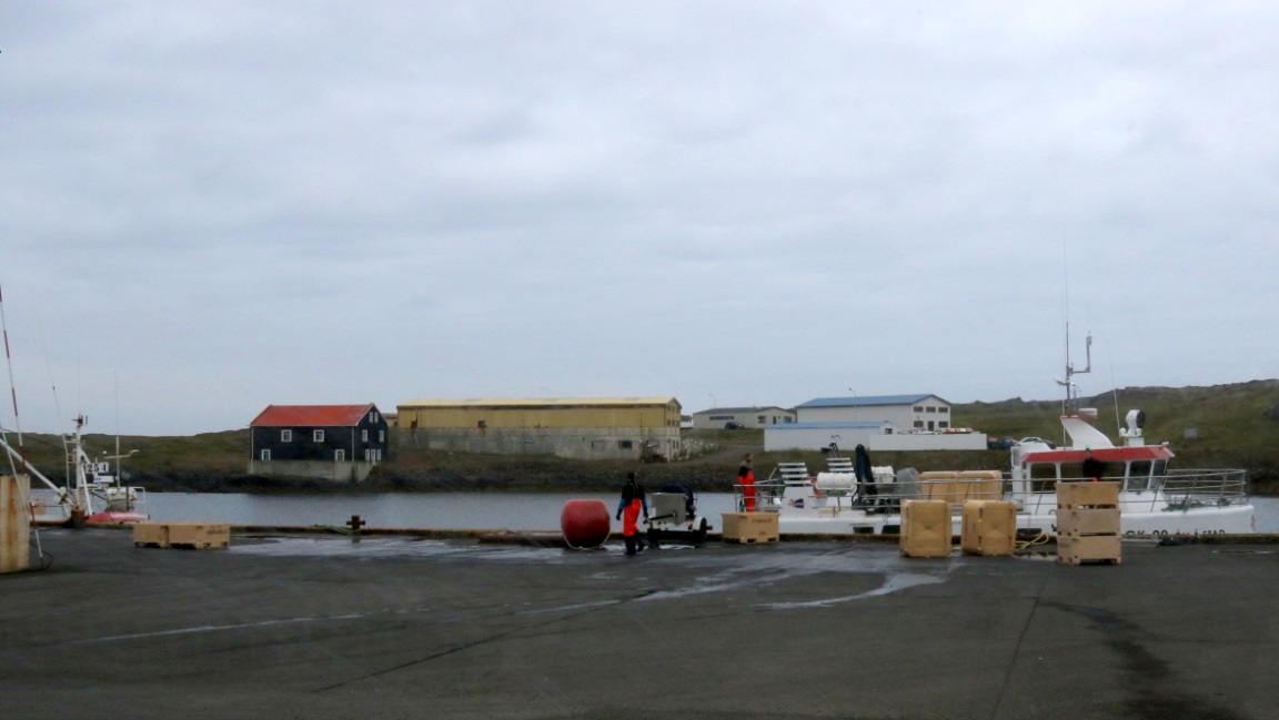 Fish processing plant