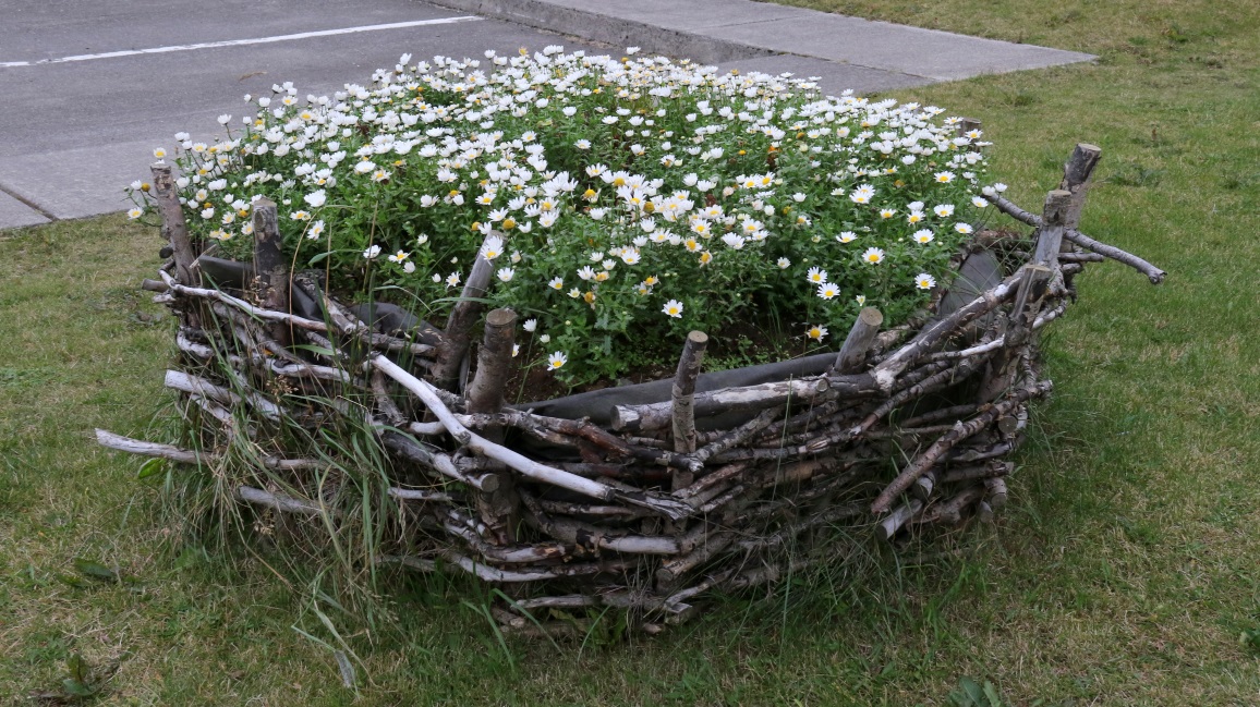 Basket of dasies