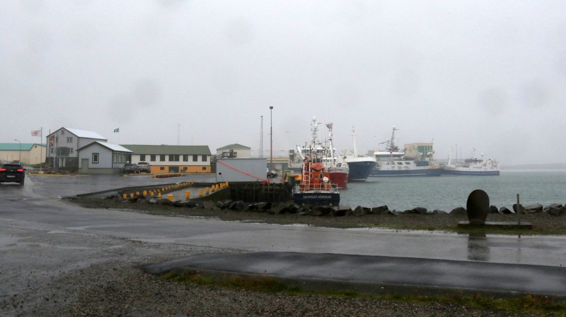 Hfn marina
