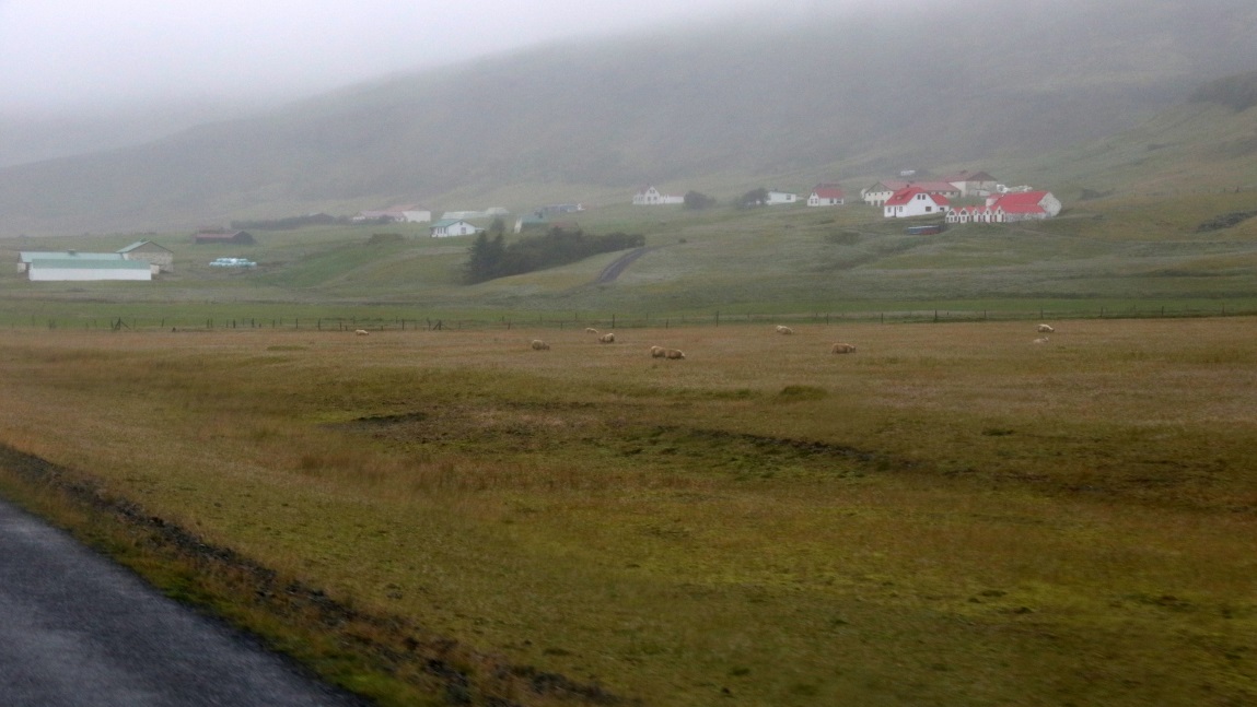 Sheep farm
