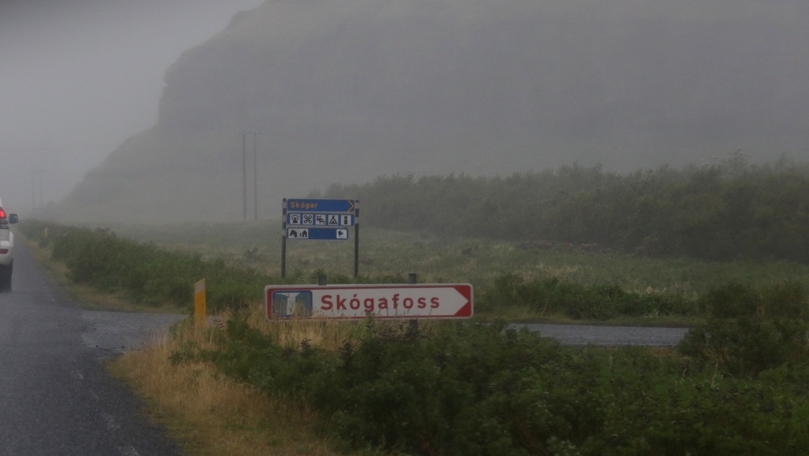 Skogar